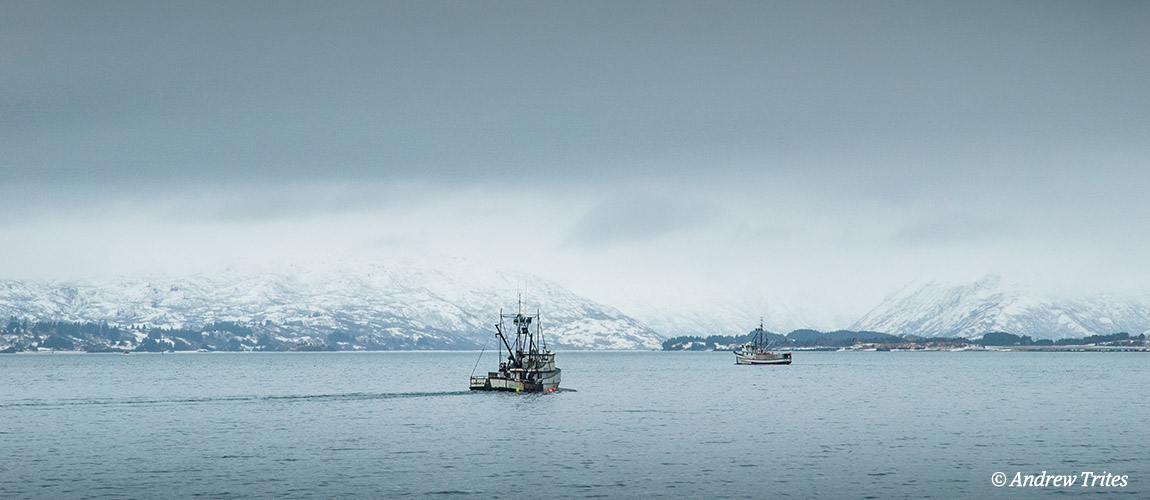 Rapidly changing Arctic fisheries potential requires comprehensive management